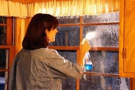 Sprzątanie mieszkań,  mycie okien i witryn